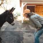 Christa Miller Instagram – Sometimes you just need to spend the day with horses and donkeys who want cookies and cuddles and then your heart is full 😊🍪 The work @skydogsanctuary does rescuing wild horses who’ve been rounded up by the BLM is absolutely amazing. Please check them out and support if you can! 🐴💛

📸 @catielaffoon