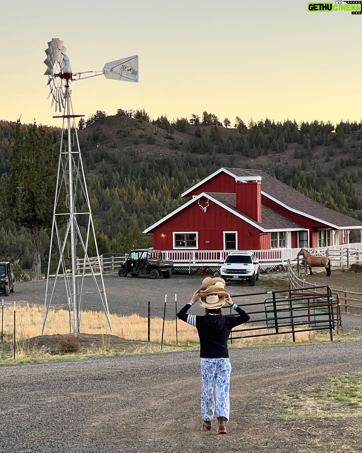 Christa Miller Instagram - #SkydogRanch is a forever home for wild mustangs and burros who have ended up in horrible and dangerous situations - at kill pens, at auctions, or in unloving homes where they have often been starved and neglected. They have locations in Malibu California as well as a 9,000-acre ranch near Bend, Oregon. It was an incredible experience to visit their Oregon location earlier this month and I'm so excited to share that I've officially joined the board of directors!!! @skydogsanctuary is led by my friend, Clare Staples and I'm thrilled to join her on a mission to rescue at-risk mustangs and burros across America and reunite families torn apart during brutal roundups. All of the wild horses and burros that are at Skydog are treated with the utmost kindness and respect. They leave in peace the ones who want to be left alone and give others the love and compassion that they have not experienced from people before.