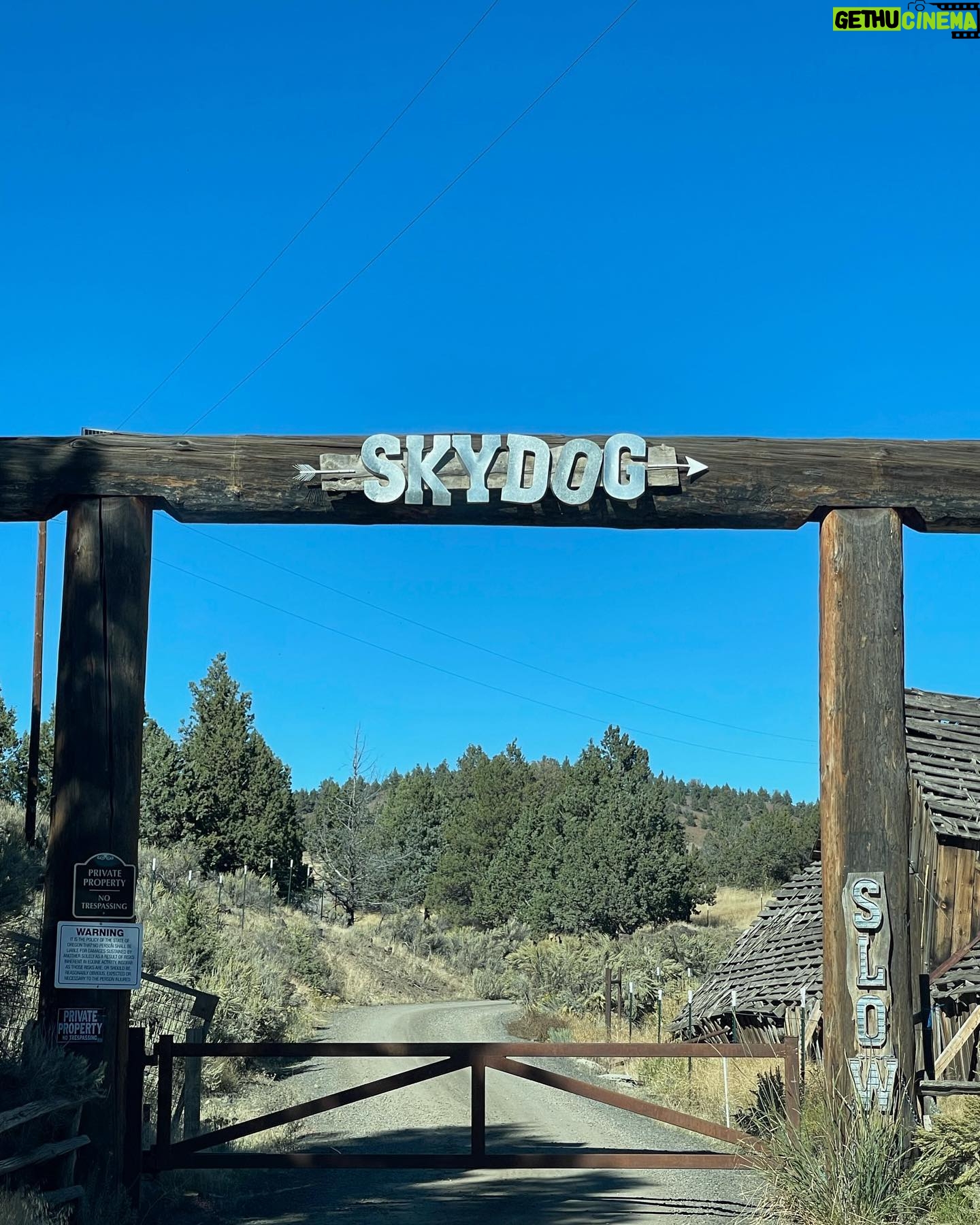 Christa Miller Instagram - #SkydogRanch is a forever home for wild mustangs and burros who have ended up in horrible and dangerous situations - at kill pens, at auctions, or in unloving homes where they have often been starved and neglected. They have locations in Malibu California as well as a 9,000-acre ranch near Bend, Oregon. It was an incredible experience to visit their Oregon location earlier this month and I'm so excited to share that I've officially joined the board of directors!!! @skydogsanctuary is led by my friend, Clare Staples and I'm thrilled to join her on a mission to rescue at-risk mustangs and burros across America and reunite families torn apart during brutal roundups. All of the wild horses and burros that are at Skydog are treated with the utmost kindness and respect. They leave in peace the ones who want to be left alone and give others the love and compassion that they have not experienced from people before.