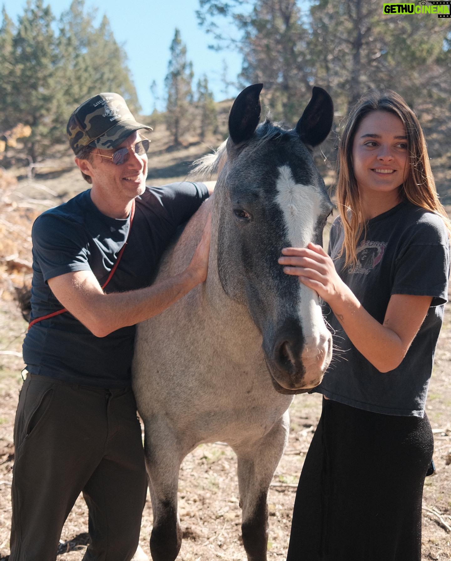 Christa Miller Instagram - So happy to be with my dear friend Clare and the beautiful @skydogsanctuary . Clare rescues, rehabs, and releases wild mustangs, donkeys and other cuties with love and compassion. We are in heaven!!