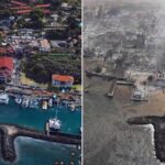Christa Miller Instagram - My heart is with everyone on the island of Maui and those impacted by the wildfires ❤️ If you are looking for organizations on the island that are supporting the people who have been impacted by this tragedy visit: @hawaiicommunityfoundation, @mauifoodbank, and @mauihumanesociety. Every contribution, large or small, will make a difference. And, thank you @lairdhamilton and @gabbyreece for bringing these organizations to my attention! #MauiStrong