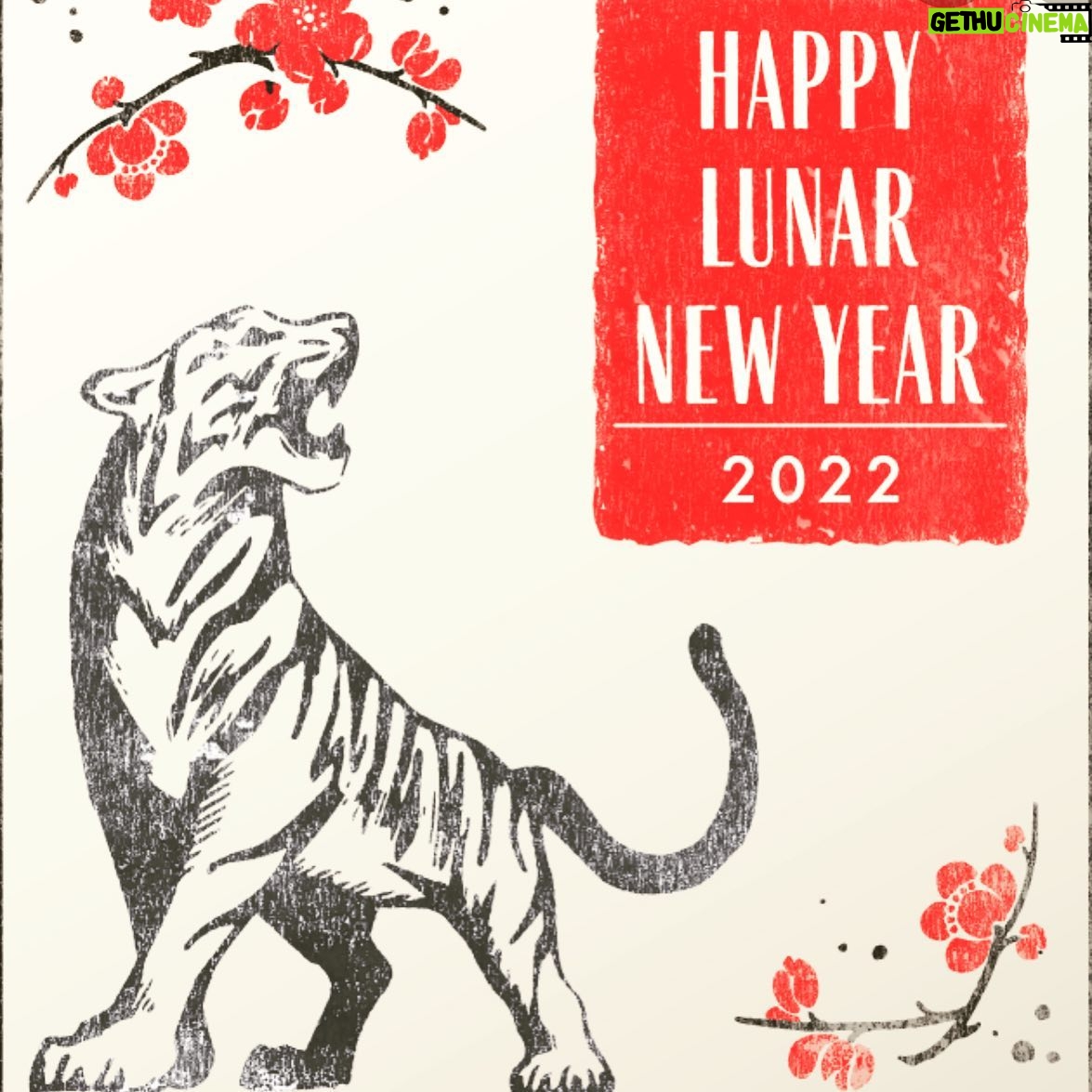 Christina Chang Instagram - Happy New Year! 2022 is the Year of the Water Tiger which is a symbol of Prosperity🧧 May our Wealth be in our health, our Strength come with kindness. 恭喜發財! 新年快樂! 🧧♥️ #happynewyear #happylunarnewyear #happychinesenewyear