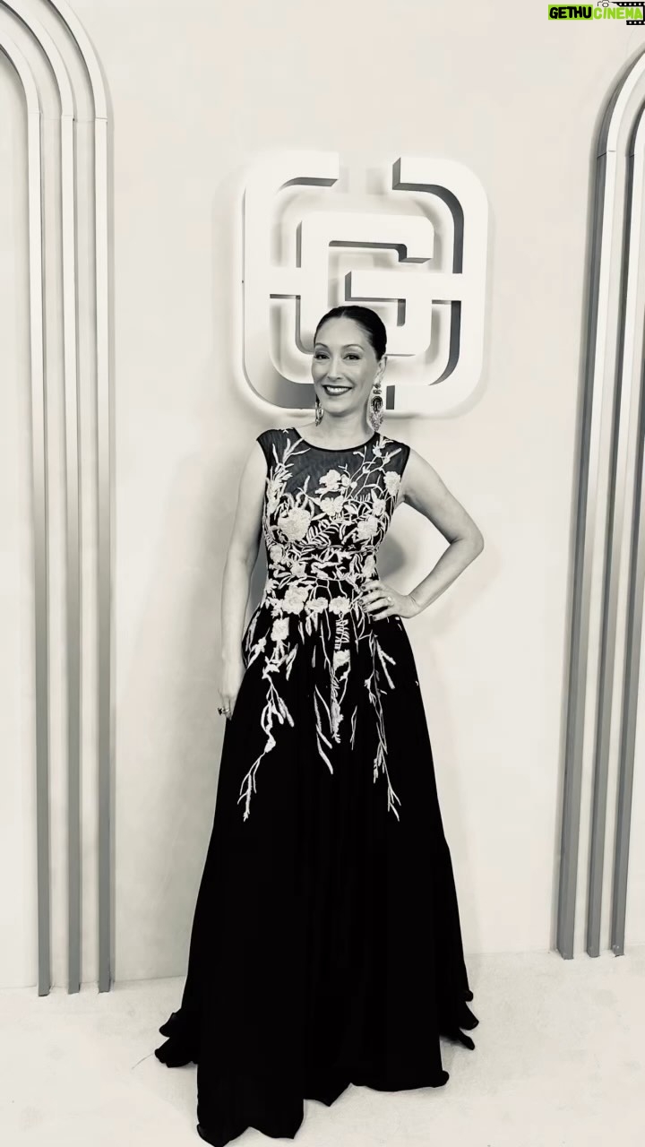 Christina Chang Instagram - A big thank you to @goldhouseco x @bingchen for rolling out the gold carpet! What an uplifting evening spending time with so many in the AAPI community that continue to work hard to forge pathways, clearing more space for us at the table. Seeing old friends and making new was the perfect way to kick off #aapiheritagemonth - inspiring us all to roll up our sleeves in solidarity π«π« #goldgala #aapi #goldhouse