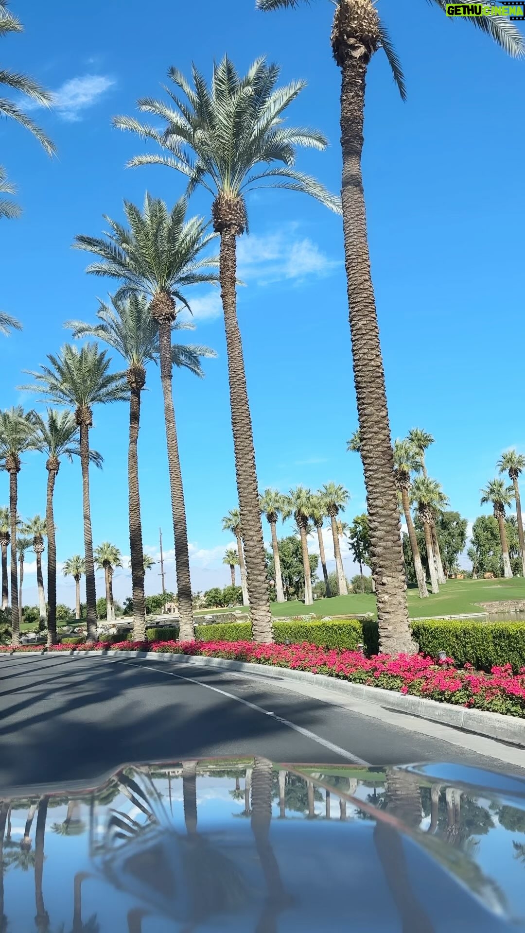 Christina Chang Instagram - What a fun family get away! Thanks to @desertsprings, we were able to dive into cool pools on warm days, dine teppenyaki style at #mikado, play mean games of Pickleball, hit the arcade and take a boat ride around their lagoon 🛥️( #FunFact:ThisResortIsAlsoAWildlifeSanctuary!) Grateful for a lil getaway before heading back to work (also yay #thegooddoctor) ☀️🌴🙏🏽 #desertsprings #palmsprings #pickleball #arcade #vacation #family #friendsandfamily