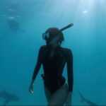 Christina Ochoa Instagram - Fucking Fintastic 🦈 #Friday 📷 @reefhunter. New expedition coming soon.