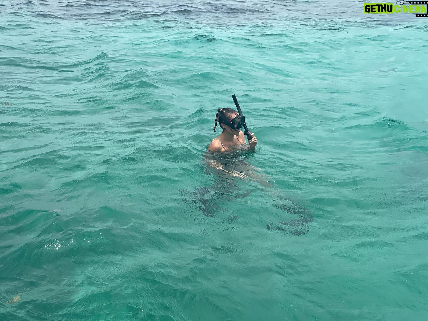 Christina Ochoa Instagram - Bye, Beautiful Belize π§πΏπ¦ π€Ώ @earthsoceans @cococayebelize #BajoElMar #SharksScubaAndSun