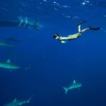 Christina Ochoa Instagram - 🦈