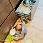 Christina Tosi Instagram - Gets his love of mixing bowls from me
