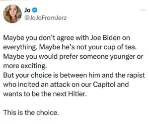 Christine Elise Instagram - @jojo.fromjerz #voteblue #votebluetosaveamerica🇺🇸💙