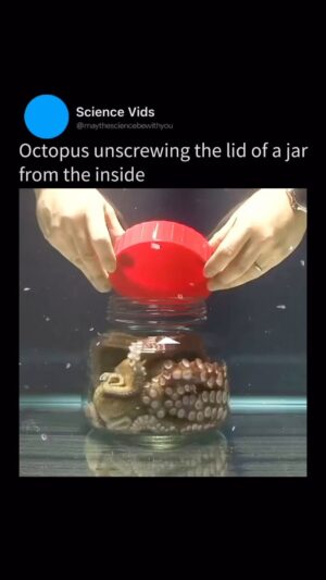 Christine Elise Instagram - Never eat octopus.