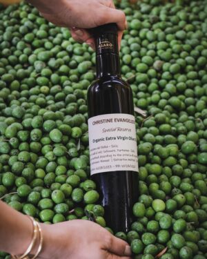 Christine Evangelista Instagram - The Asaro family farm in Partanna, Sicily has been producing some of the worlds finest, high quality olive oils for hundreds of years and in the last twenty, began it’s conversion to organic with sustainable methods. 
I had the privilege of touring the farm, meeting  the Asaro family and having them dedicate a tree to me in my family’s name. Gifting me a personal production of my very own smooth, mineral and pepper finish, organic, non-gmo extra virgin olive oil. 

Thank you so much Tomasso and Silvia for inviting me to your family garden and gifting me my own olive oil production from the literal roots of my heritage in Italy. 
The olive tree, branch and its leaves have so many cultural and symbolic meanings. The greatest for me being the love that pours through the meals we prepare with it. 

@asaroorganicfarm @best_sicily