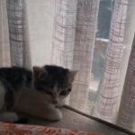Christine Lo Instagram - 趁我還沒忘記要發文