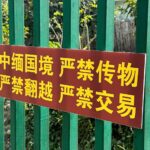 Christine Lo Instagram - 趁我還沒忘記要發文