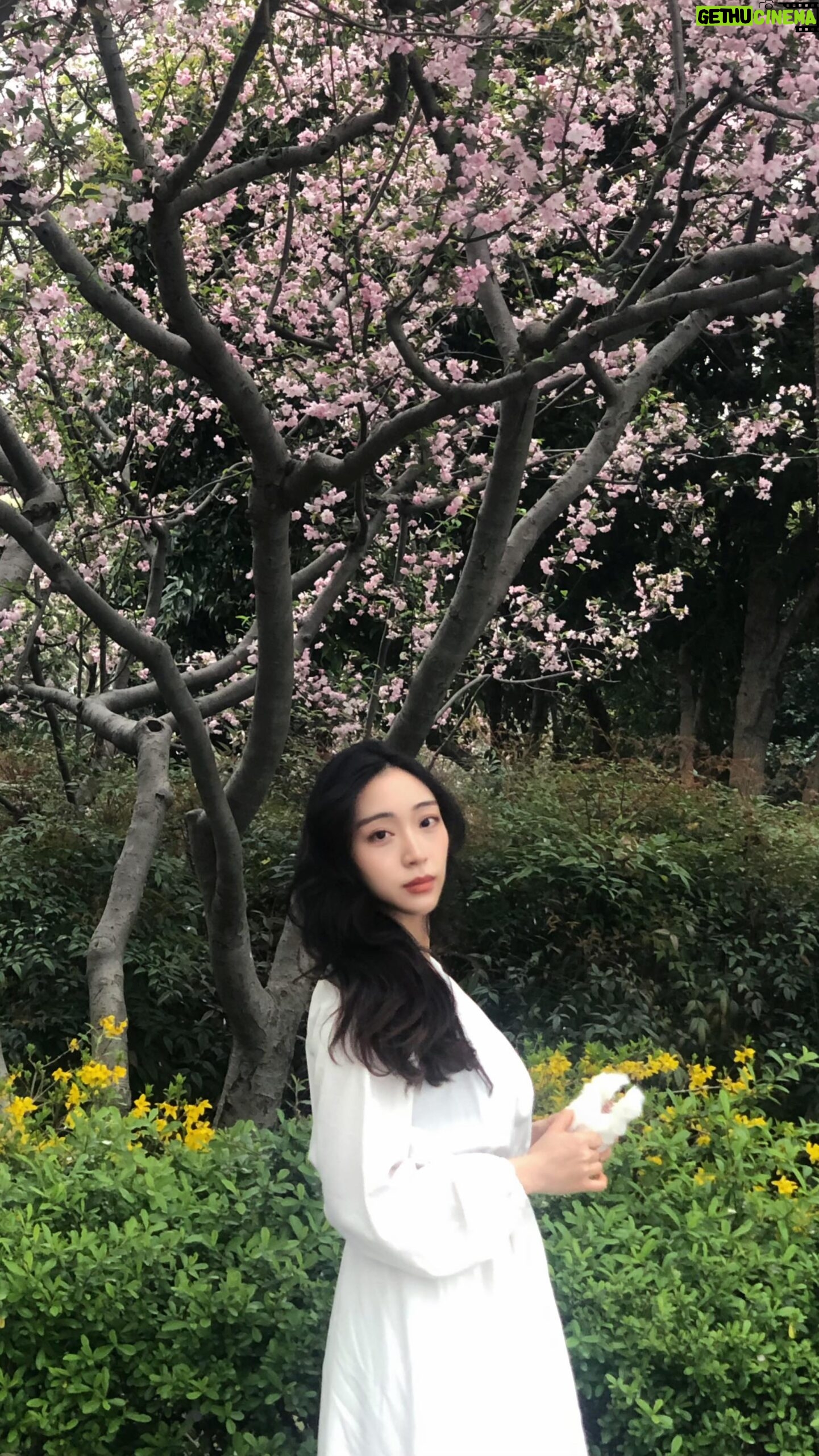 Christine Lo - 3 Likes - 🌸
我和三月都是春天