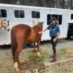 Ciara Hanna Instagram - Cali girl goes country🤠 Only for a few hours though. Then I ate hibachi and got a massage 😏😂