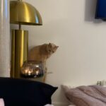 Ciara Miller Instagram - here, there, everywhere