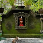 Ciara Riley Wilson Instagram - spent a week in bali & my bloodstream is 50% bintang and 50% mie goreng #bintang