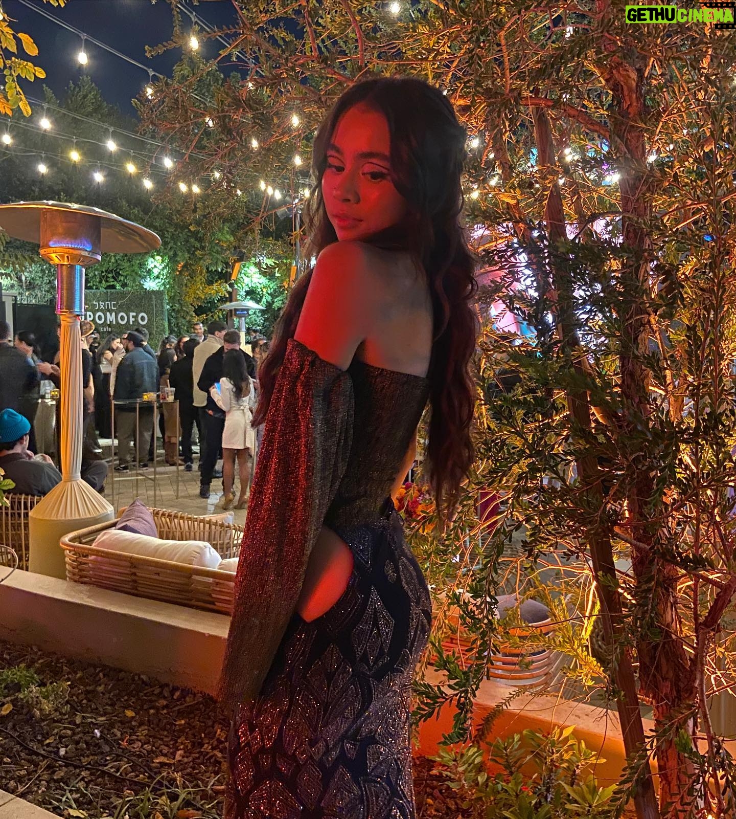 Ciara Riley Wilson Instagram - thank you @netflixgolden @hollywoodreporter @goldhouseco for a lovely night celebrating all of the talented API killing it right now :) outfit made by me! 🪡 makeup by @hannahjaclynmakeup and hair by @lucy_gedjeyan