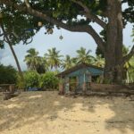 Cindy Poumeyrol Instagram – Paradis sur terre – les Seychelles
Complètement sous le charme de Praslin, et amoureuse de la Digue.
Merci encore @fairmoove . Très heureuse d’avoir intégré le programme Testeur de voyage. Dernier jour pour vous inscrire et vivre l’expérience de Testeur de voyage. Rdv sur le site Fairmoove 😎
Invitation