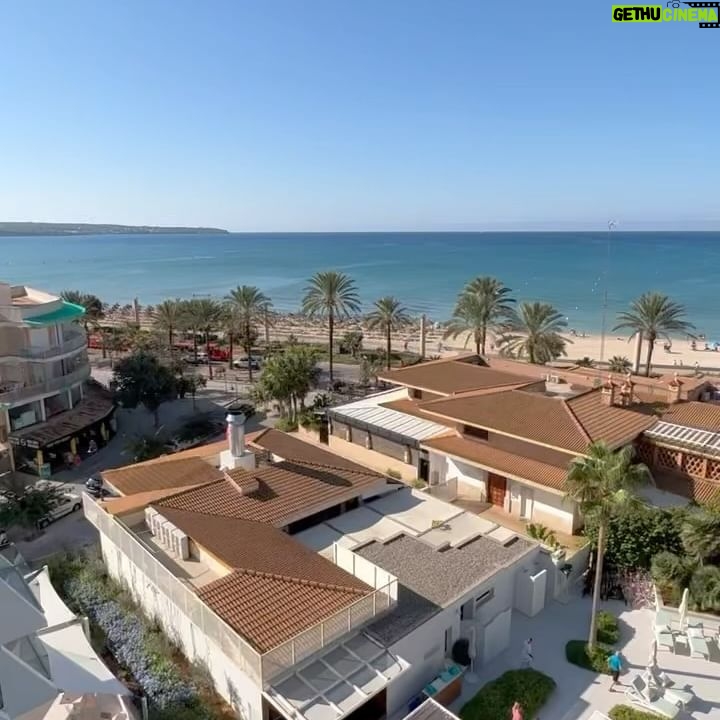 Cintia de Sà - 1.3K Likes - Palma de Mallorca - Spain 🇪🇸