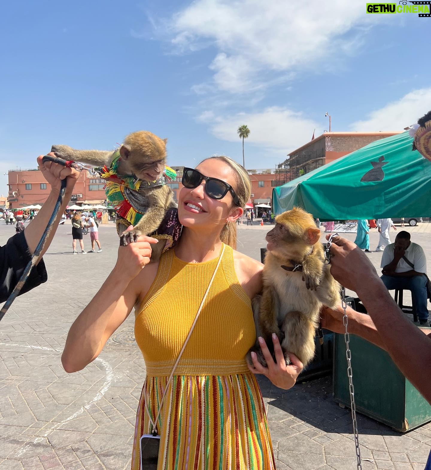Cintia de Sà - 581 Likes - Magic Morocco 🇲🇦 Part 1
Marrakech 😍❤️