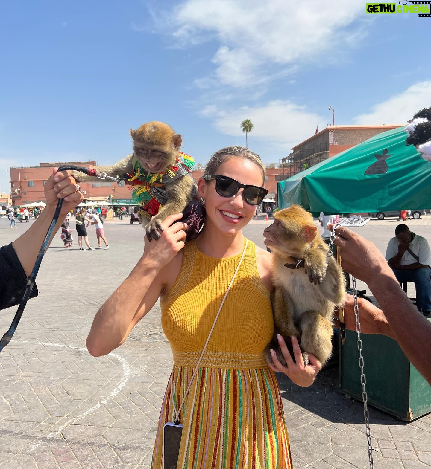 Cintia de Sà - 581 Likes - Magic Morocco 🇲🇦 Part 1
Marrakech 😍❤️
