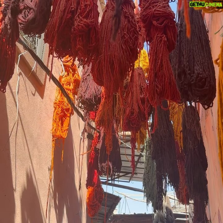 Cintia de Sà - 581 Likes - Magic Morocco 🇲🇦 Part 1
Marrakech 😍❤️
