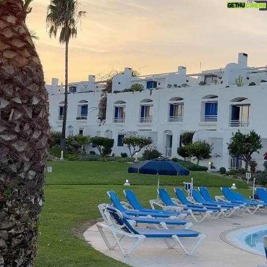 Cintia de Sà - 758 Likes - un Souper mémorable en famille, dans un moulin datée de 1936🤍 #albufeira #portugal #portugal🇵🇹 #love #friends #besties #romantic #fun