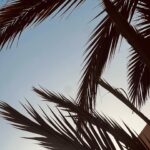 Clémence Botino Instagram - Dans la pellicule de Mars 🥰: -Mumbai and Miss World competition with my international sisters 🌏 🇮🇳 -Back to work to my fav Paris city with the agency @talentlabparis 🌸 🇫🇷 -Meeting the lovely brazilian designer @annefontaine 🇧🇷 -Discovering Dakhla 🤍 🇲🇦 -Stop at the US embassy in France 🇺🇸 What an international month ! 🤌🏽😍