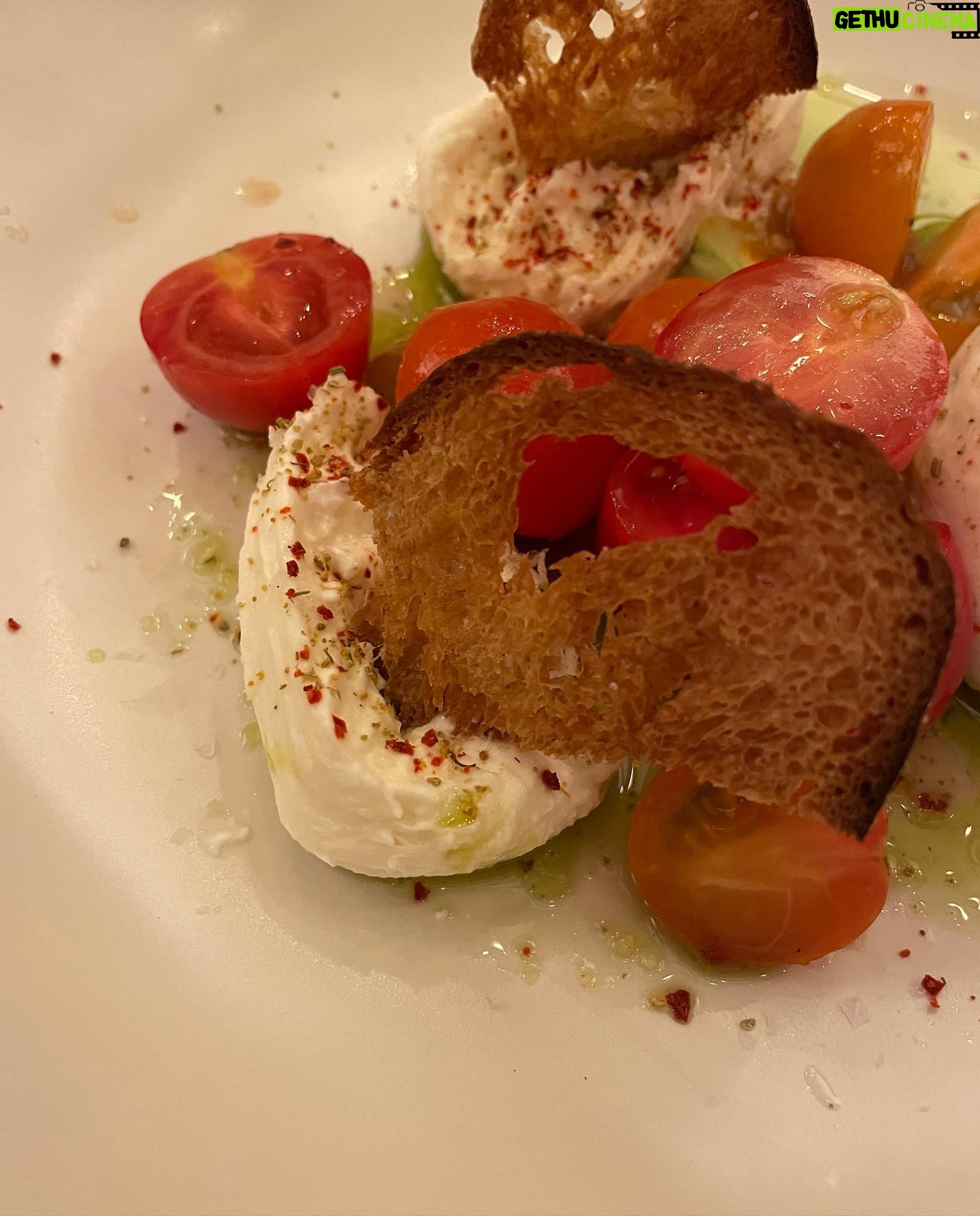 Claire Coffee - 5K Likes - Table for 3, Food for 6 @swyftct, a wood paneled-and-fired dream come true!
Our order:
Shishitos
Pizza Bianca Potato
Cacio e Pepe
Tomato Salad
Half Wood Fired Chicken
Maine halibut with summer succotash
#530res