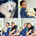 Claire Forlani Instagram - Today the dog we’ve been waiting for arrived in our lives. She came from Romania was going to be poisoned with her sister but got saved & brought to the UK & put in the incredible hands of @goodheartanimalsanctuaries & @wiccaweysrescuedbordercollies .The angels that are 😇 😇😇😇@rachelfullertownshend & Paul & Sarah and the crew at @wiccaweysrescuedbordercollies @wiccaweyschitchat & DJ @goodheartanimalsanctuaries made it possible with their love , care and passion to save animals & get them loving & safe homes . My family and I are so grateful to them all & it took less than 5 mins to fall in-love with our girl 🐾❤️🐾❤️🐾❤️🐾 THANK YOU You can donate to either of these incredible rescues by going to their insta pages. They really are two of the BEST! ❤️ & Rach thank you & thank god you’ll talk about dogs and send me photos all night long of the dogs and let me do the sameXxxx