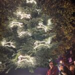 Claire Forlani Instagram - Suzy Murphy the artist chosen for the honor of creating the Christmas tree for the Connaught this year! My dream tree Chic, Dogs and meaningful . LOVE the TREE! 🌟🐾🌲❤️ BRAVO SUZY! 👏🏼 @suzymurphylondon @theconnaught @lyndsey_ingram