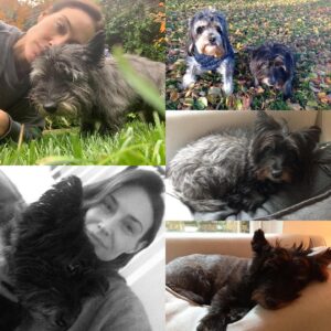 Claire Forlani Instagram - 19yrs with this little guy, my girlfriend promises me he’s with his other loves Libby&Honey I’m counting on it. A life shared , a life of love & of adventures , mountain hikes, beach walks , country jaunts,chasing anything that moves, getting skunked at 3am , spooning, afternoon naps, food , food and more food ., always coming home to you.Thank you Frankie and Marsha for giving us to eachother , my heart aches knowing no more waking up and seeing his little face ,sadness overwhelms but gratefulness and love for you Ralphie does to. I’ll miss having you here with me so much, I’ll  See you on the other side💔#RalphieForever 💔🐾❤️