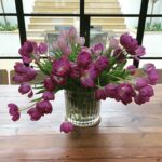 Claire Forlani Instagram – #wiltingflowers see wilting flowers can look beautiful to 😄😂 💕