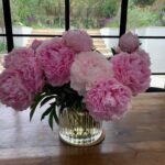 Claire Forlani Instagram – #Flowers  #SmallThingsHelp 💕🌸💕🌸💕🌸💕🌸💕