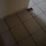 Claire Tomek Instagram - Merci la vie de m’avoir donné une maman EXCEPTIONNELLE . Le genre de maman qui lave même le lave vaisselle, qui nettoie les tasses avant même que t’aies fini ton café et qui vient faire le ménage chez toi en scred. Le genre de maman qui rigole à tes blagues même quand elle comprend pas. Le genre de maman qui supporte tes sautes d’humeur, et qui fait jamais la tête. Le genre de maman qui est devenue une super mamie, c’est genre moi en plus cool ❤️
