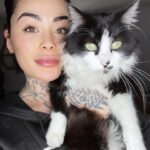 Claire Tomek Instagram – LE RETOUR 😼
Quelle histoire incroyable quand même.. pour ceux qui ont raté la story je vous raconte ! 

Mon chat avait disparu depuis une semaine. J’avais réussi à le garder « enfermé » après l’emménagement mais comme il a l’habitude d’être dehors plus qu’à l’intérieur ça frôlait la séquestration et il a profité d’une porte qui s’entrouvre pour aller dehors. 

J’ai mis la litière dehors, avec des croquettes. Pire que les poules j’appelais aux aurores et au coucher du soleil 😂 
Affichettes, annonces bref la totale ! Le gars était recherché partout .. 

Étant de nature très cartésienne, on m’avait déjà parlé de la communication animale mais je dois avouer que j’y croyais pas trop .. pour moi y’a que Dr Doolitle qui parle aux animaux 😅
Pas mal d’entre vous m’ont dit qu’apparemment ça pouvait marcher alors je me suis dit « au pire Martial me dira encore que je suis un peu chtarbé et que là j’ai touché le fond » 🤷🏻‍♀️

Je contacte une dame super gentille qui me demande une photo du chat et de la nouvelle maison pour lui « projeter » et lui dire de rentrer .. ÇA PARAÎT FOU JE SUIS D’ACCORD mais attendez ! 
Elle me dit que mon chat n’est pas loin, qu’il n’est pas en situation d’inconfort ( froid faim blessure) et qu’il lui a montré ce qu’il y’avait autour de lui. 
Là elle me décrit la piscine ( jusqu’au détail de la bâche mal mise ) et la haie du voisin ( invisible sur la photo que j’ai envoyé) 
Bon je suis un peu sur le 🍑 
Encore 2 jours passent et toujours rien même en faisant le tour de la ville et en l’appelant. 

Là elle me dit « attendez je vais essayer de connecter votre chien et votre chat ( comme des tamagoshi 😂) et essayer d’encourager votre chien à trouver votre chat dehors »
Je lui dis que ça me parait impossible vu que ROX a sûrement plus peur de l’extérieur que le chat actuellement 😓 mais elle m’assure qu’il est hyper content qu’on lui confie cette mission et qu’il faut lui faire confiance. 
Trop bizarre ROX me demande à sortir 5/6 fois dans la soirée chose qu’il ne fait jamais ! Et à 1h du mat il aboie et gémit en s’excitant sur la haie du voisin .. et la .. Billy boss ! 
Alors coïncidence ou pas ? Moi j’y crois de ouf maintenant. 

Et vous ?