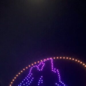 Clara Wilsey Instagram - Coachella under a full moon 🌕🤪
Thanks @anatanaka for getting pictures of me at least one of the days ❤️