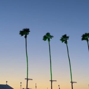 Clara Wilsey Instagram - Coachella under a full moon 🌕🤪
Thanks @anatanaka for getting pictures of me at least one of the days ❤️
