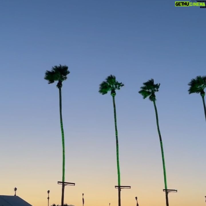 Clara Wilsey - 2.7K Likes - Coachella under a full moon 🌕🤪
Thanks @anatanaka for getting pictures of me at least one of the days ❤️