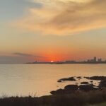 Clara Alvarado Instagram - Lately in Uruguay 🌞🇺🇾 Atesoro muchos momentos de estos días por el paisito, recuerdos imborrables, lugares preciosos y personas amuleto. 1. Atardecer en la rambla visto desde La Virgilio. 2. El rodaje se lleva mejor con un alfajor de maizena. 3. Mi refugio para leer, estudiar y tomar café rico: @la_madriguera_cafe 4. Mi nueva mejor amiga: la Bertolt (estoy conviviendo con 7 gatos maravillosos) pero ella me ha robado el cora. 5. Cuando el tiempo se para con ellas, mis hermanas aquí. 6. Un paseo por la Ciudad Vieja y uno de los edificios más emblemáticos de Montevideo, el palacio Salvo. 7. Un poco de mimos y una luz que me hipnotizó 8. Más con ellas 🤍 os quiero mucho chicas. 9. Una nueva mirada. Viajar te da eso, pero viajar y trabajar en otro país, con otra cultura y costumbres te da siempre más. Y yo que lo recibo con tanto cariño y amor. 10. Sentirte en casa. Tengo mil momentos grabados, fotos que guardo en mi carrete y otras mil en mi memoria. Empiezo a despedirme de Uruguay y todo lo que me ha dado. Simplemente gracias a todas las personas que os habéis cruzado en este camino. Me habéis hecho mucho bien, espero y deseo que haya sido algo mutuo y yo a vosotros también 🩵 vamo’ arriba!