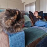 Clara Henry Instagram - I stolt annonssamarbete med @sweef_furniture vill jag visa er: MIN NYA SOFFA! <333 Sjuk grej: gamla soffan pajade ju vid inflytt och jag och sambon är två velpannor som absolut inte kunde bestämma oss för vilken ny soffa vi ville köpa. Så vi gjorde det absolut mest magkatarrsframkallande man förmodligen kan göra mitt i en flytt: vi beställde en soffa som vi inte visste hur den skulle se ut. På riktigt alltså. Eller, vi valde modell såklart (Valen! Så att vi visste att den skulle få plats osv), men sen har Sweef ett färgalternativ som är att man kan beställa soffa sydd från spilltyger - dvs tygbitar som blir över i produktionen av andra soffor, som då kan lappas ihop till att bli en egen, helt unik soffa. Ett lite, lite mer hållbart val om man nu ändå ska köpa nytt. Så vi tänkte, okejdå, knock us out. Vilket vi blev. Helt jävla utknockade. Vi har fått den finaste snyggaste coolaste soffan??? Alltså va??? Finner knappt ord? Är så kär i denna möbel!! Tack @sweef_furniture!!!