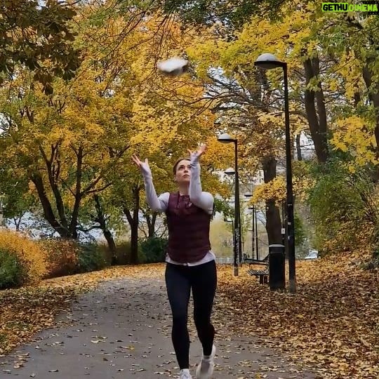 Clara Henry Instagram - I reklamsamarbete med @felix_sverige kan jag GLATT meddela till alla som försöker få in bra mat i en vardag som redan består av jobb/träning/familj/disk och tvätt och dammsugning, att jag har LÖSNINGEN!!! Eller, Felix har, jag är ju trots allt bara budbäraren som springer gråtmild genom byn med munnen full av halloumi hotpot för att sprida ordet. Fem nya smaker finns!!! Alla är goda (ni har mitt ord)! Alla har massa grönsaker och protein! Alla är vego och har ett lågt klimatavtryck! Alla värms snabbare än du hinner säga "lunchlådeinfluencerinlägg"! Nej, jag menar det: man kan faktiskt inte begära mycket mer.