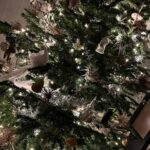 Clare Waight Keller Instagram - And a very Merry Christmas to all Wishing both Peace and Love 💚