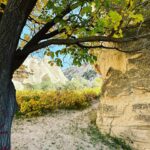 Clare Waight Keller Instagram - After Istanbul the valleys of Cappadocia - what I didn’t do was go in a balloon which is what most people do - what I did do was hike valleys and rocks and discover this incredible place on foot. 1. Gérôme National Park 2. See at the end the most remote cafe I’ve ever been to 3. Fall in the desert 4. Remote refreshments fresh pomegranate juice with a spectacular view 5. @uniqlo :C white shirt with @uniqlo U men’s cargo pants 6/7. Out in the valley 8/9 Room with a view at sunrise 10 The Chimneys #travel #memories #inspiration #turkey #cappadocia #remote #life #restaurant #goals
