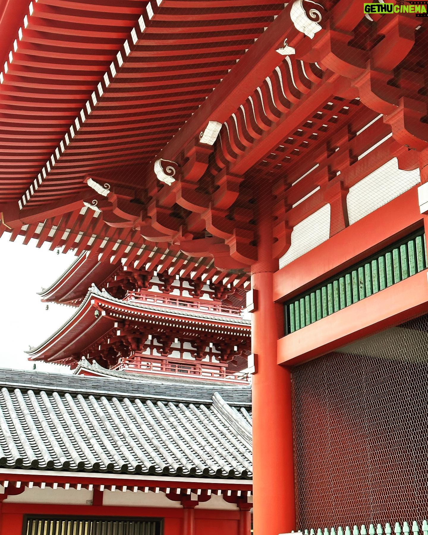 Clare Waight Keller - 1.5K Likes - More from my favourite home from home Tokyo.
1. Skywalks which cross the highways around Shibuya
2. My favourite late night walk alongside the commuter train tracks from Shibuya
3. Tired eyes needing those glasses more and more on the morning commute
4. Uniqlo City
5. Ultimate weekend Zen @nezumuseum #tokyo entrance goals
6/7. Endlessly addictive watching these graceful fish with the leaves just starting to turn
8/9/10. The weekend shrine visit β₯οΈ
#tokyo #zen #city #travel