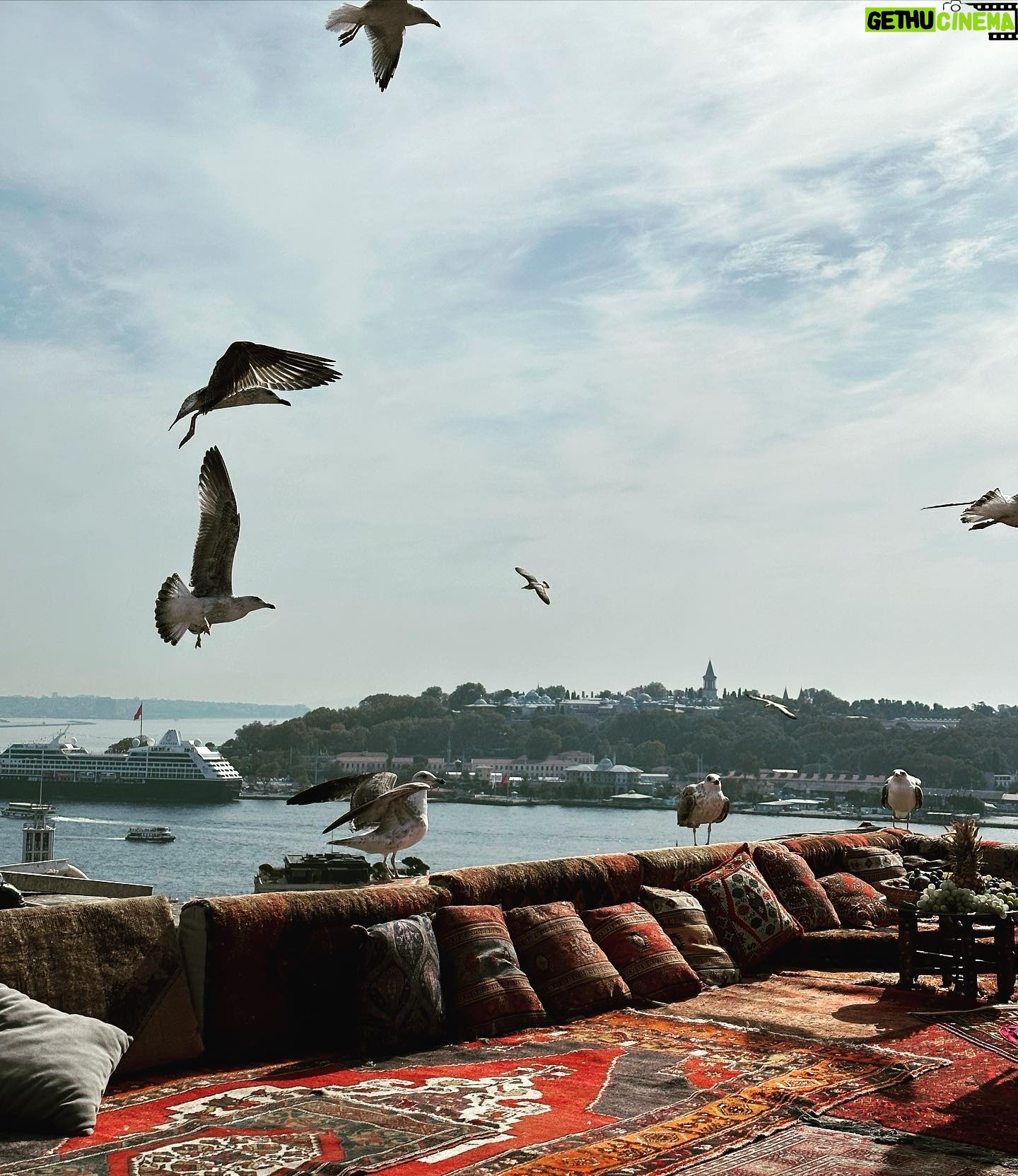 Clare Waight Keller - 3K Likes - Post Tokyo - a quiet trip away to beautiful Istanbul π©΅ some of the things I loved from a couple of weeks ago
1. Best way to see the city - A quick snapshot from the tram that runs over the Bosphorus
2. Hidden in a tiny alleyway stunning blue tiled Mosque
3. Unexpected lushness of tiles and rich carpet
4. Rooftops
5. Marbled courtyards
6. Incredible ancient underground waterways at the Basilica
7/8/9. Harem dream
10. The catβs eye
