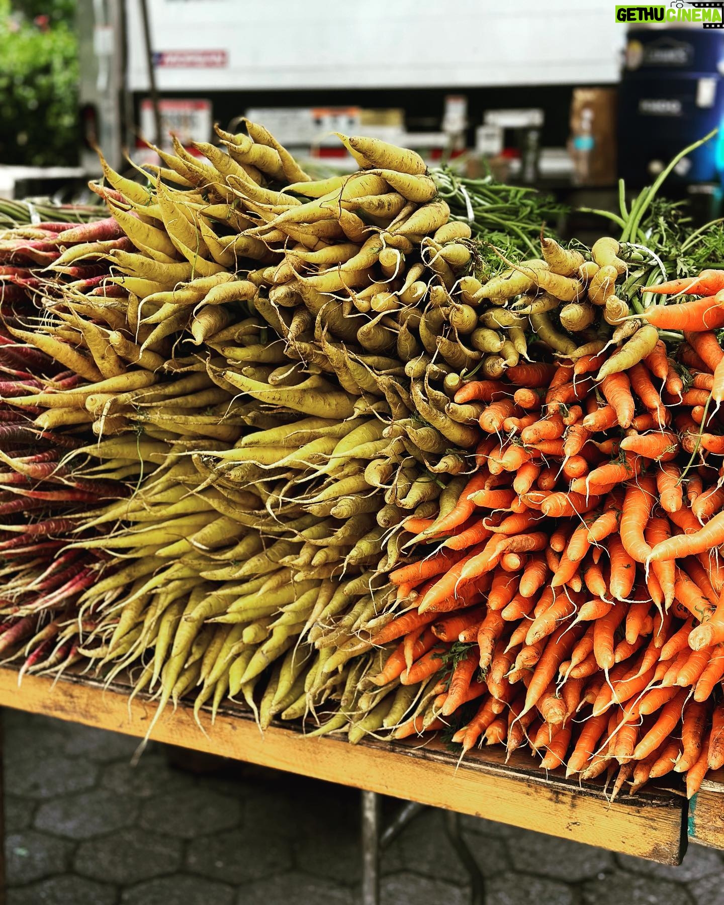 Clare Waight Keller - 2K Likes - Work Road Trip -
Things I saw things I loved in 72 hours last week in New York City β₯οΈ
#hotelchelsea
#unionsquare #farmersmarket @balthazarny
@uniqlousa
#officeview
#girls
#greathair
#flyinghome @thechelseahotel