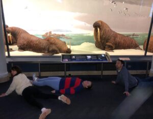 Claudia O'Doherty Instagram - Evolution is amazing