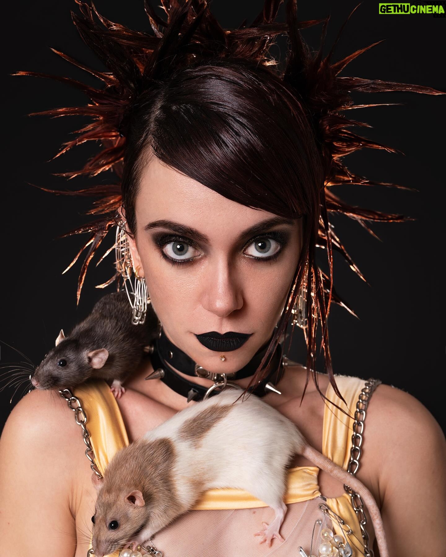 Claudia Riera - 3K Likes - Can someone please hire me to play JINX (Powder) in the live action movie of the L.O.L animation series āArcaneā please. That would make me absolutely touching stars happy.
Thank you very much.
You guys donāt know it yetā¦. But you need me to play that character. āš»š£ā ļøš¤
PS: If you havenāt seen the animation series yet, make yourself a favor. While watching it, think of me⦠And then make ME a favor and pressure producers. jiji Love yah!
X.O : Clo š§Øšø
Thiiiiiis CRAZY GIRLS DREAM TEAM made this Shoot:
Give them some Loooooove š¤š»š
šø: @victoria.deeva
š: @style_with_elvirrofska Dress: @juaanfont
š: @inesdelbusto
š: Neit
š: Aradia
Yup, my rats are also models now. All artists in our home.